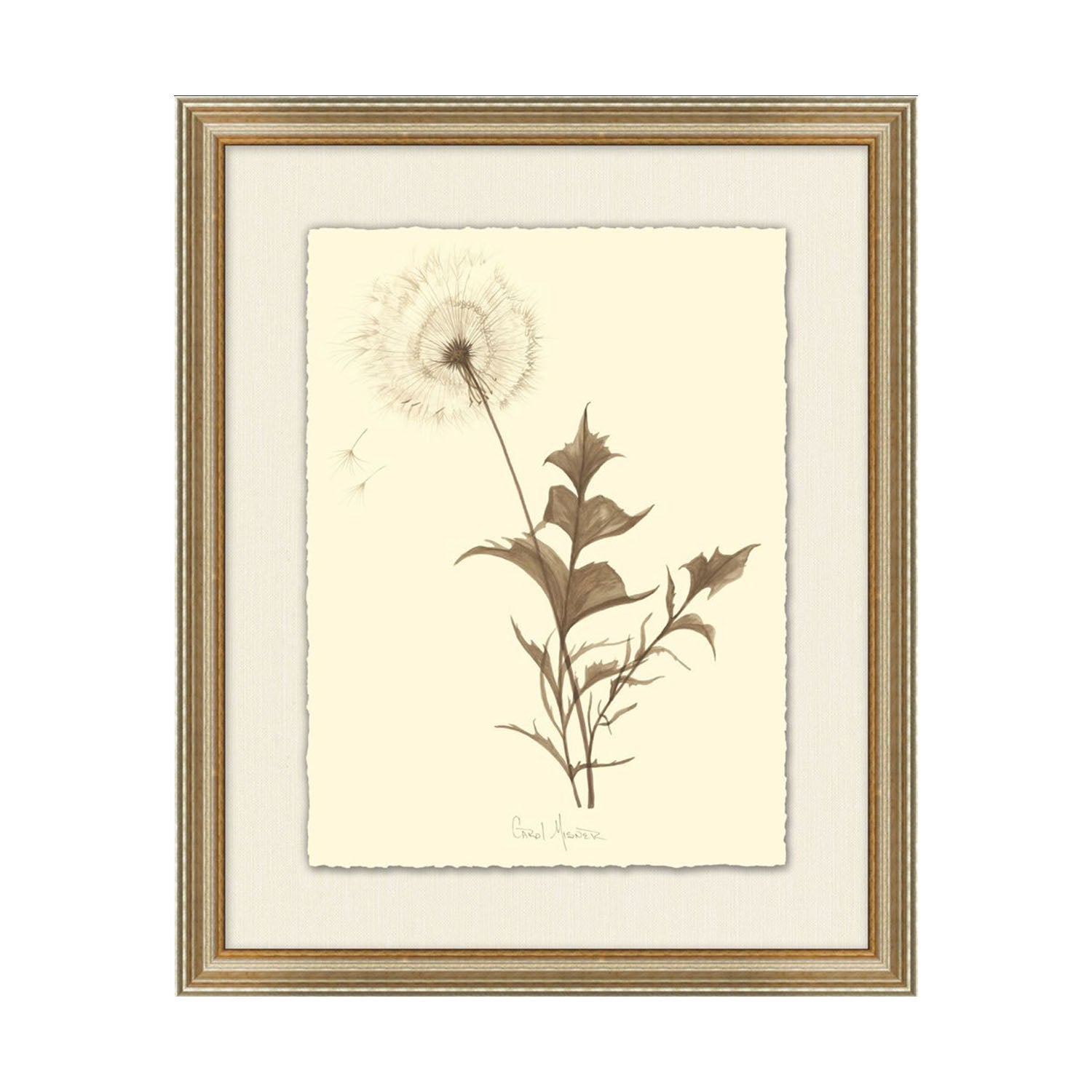 Dandelion Artwork