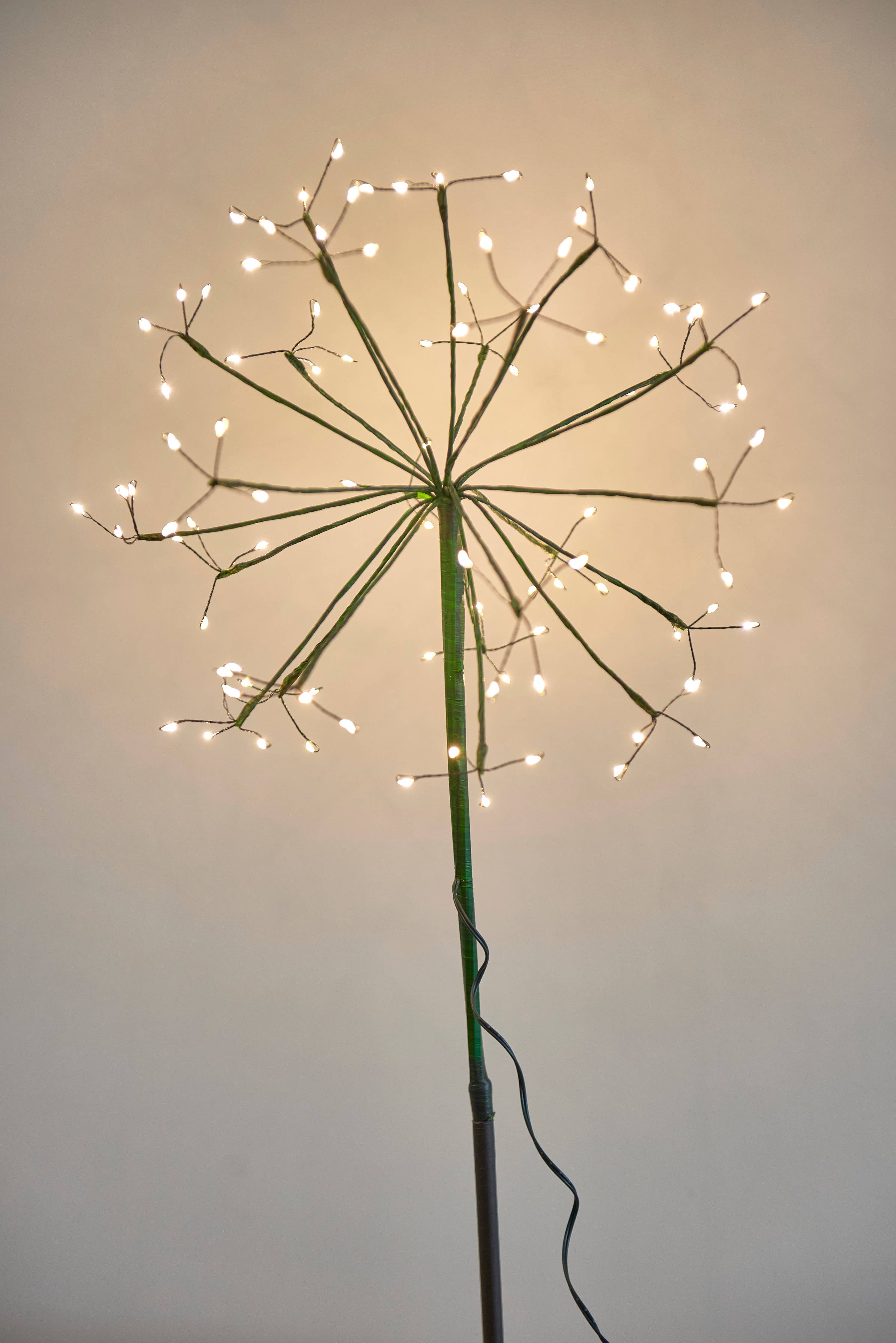 Green Dandelion Light