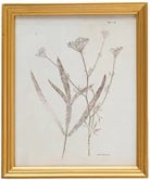 Bentham Print Two Artwork